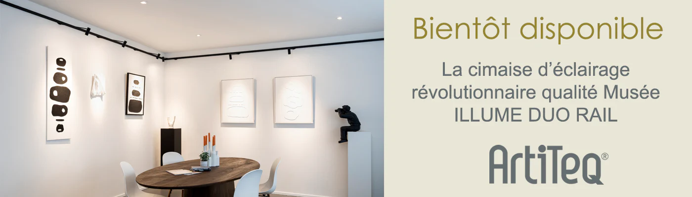 Sublimez vos murs avec élégance