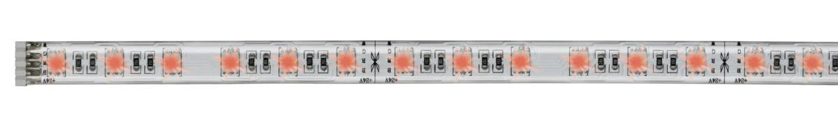 BANDEAU LED 1 M - RGBW - Image 3