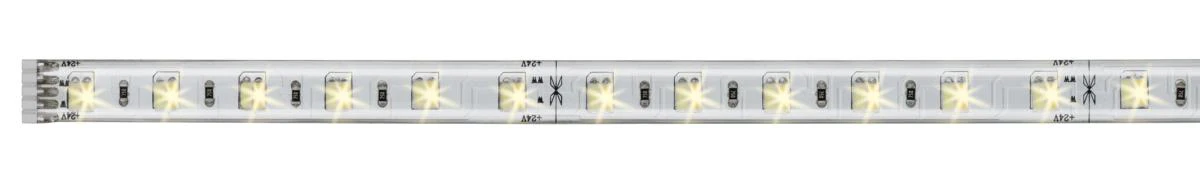 BANDEAU MAXLED500 VARIABLE BLANC CHAUD/ BLANC FROID - 1M - Image 2