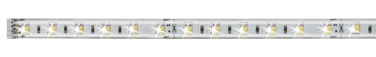 BANDEAU MAXLED500 VARIABLE BLANC CHAUD/ BLANC FROID - 1M - Image 3