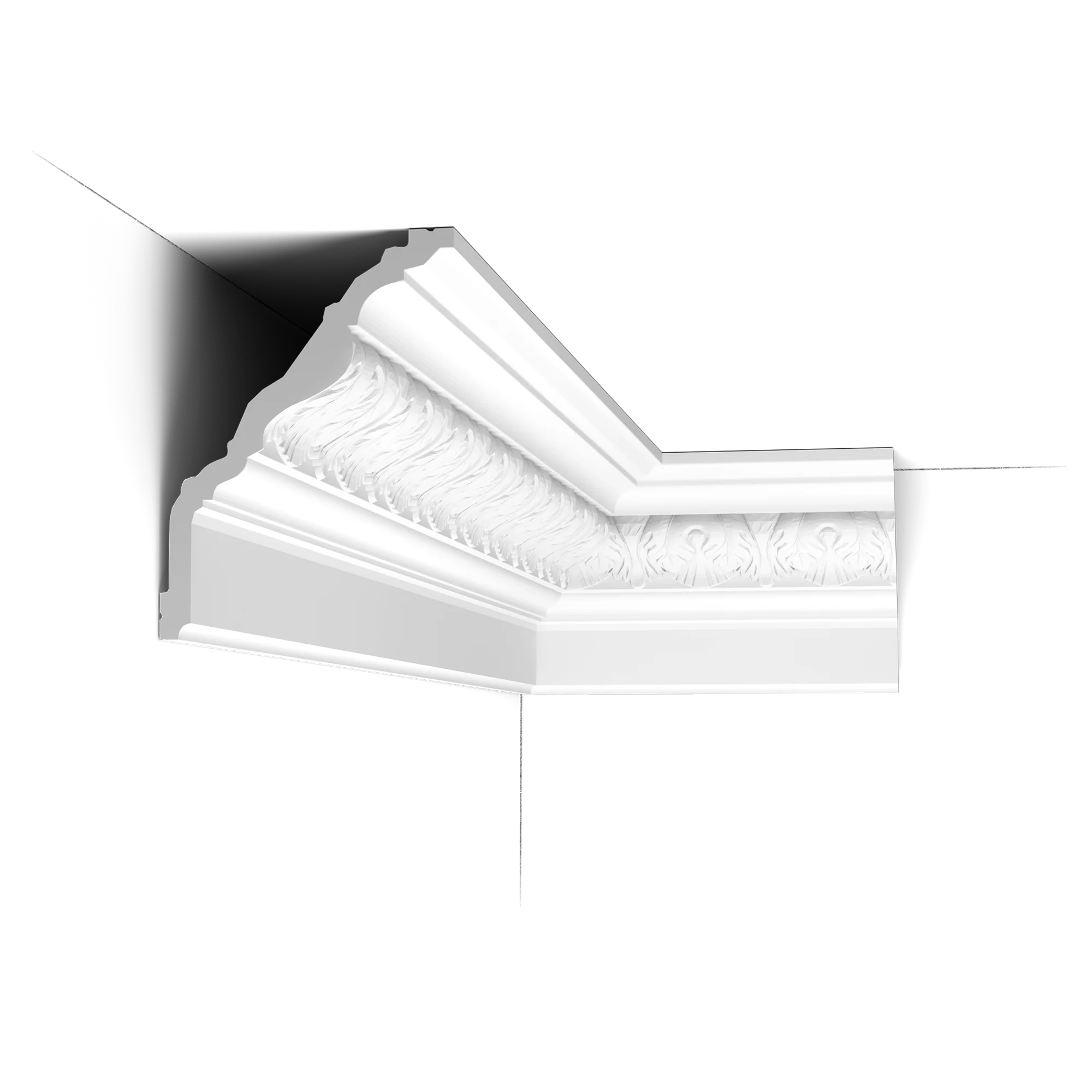 Échantillon corniche  C219 - 10 cm - Image 2