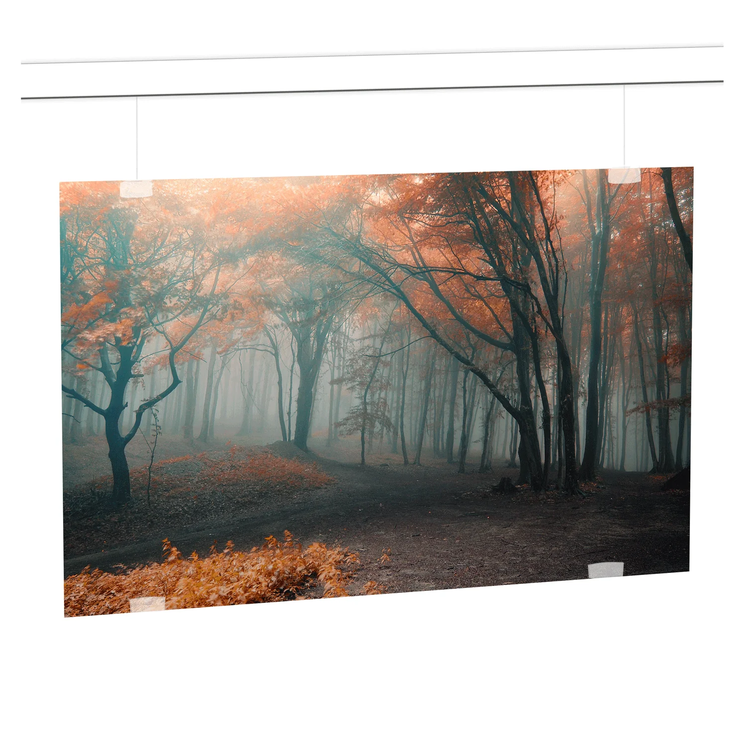Set d'accrochage pour panneau rigide H300 - Image 2